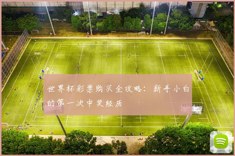 世界杯彩票购买全攻略：新手小白的第一次中奖经历