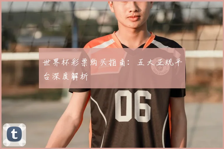 世界杯彩票购买指南：五大正规平台深度解析