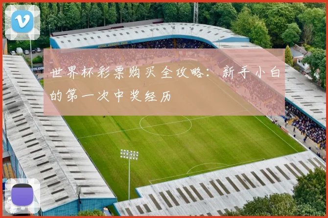 世界杯彩票购买全攻略：新手小白的第一次中奖经历