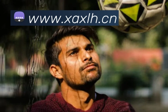 世界杯官网足球平台生态图